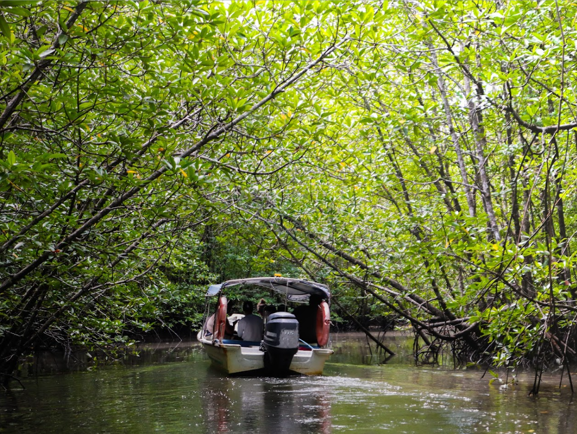 Kids kayaking